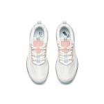 Anta