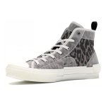 DIOR B23
