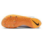 Nike Air Zoom LJ Elit