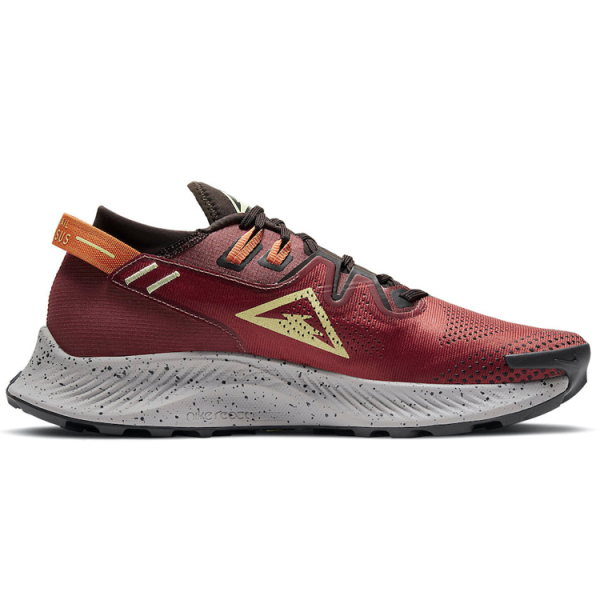 Nike Pegasus Trail 2