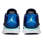 Air Jordan Flight Flex Trainer 2
