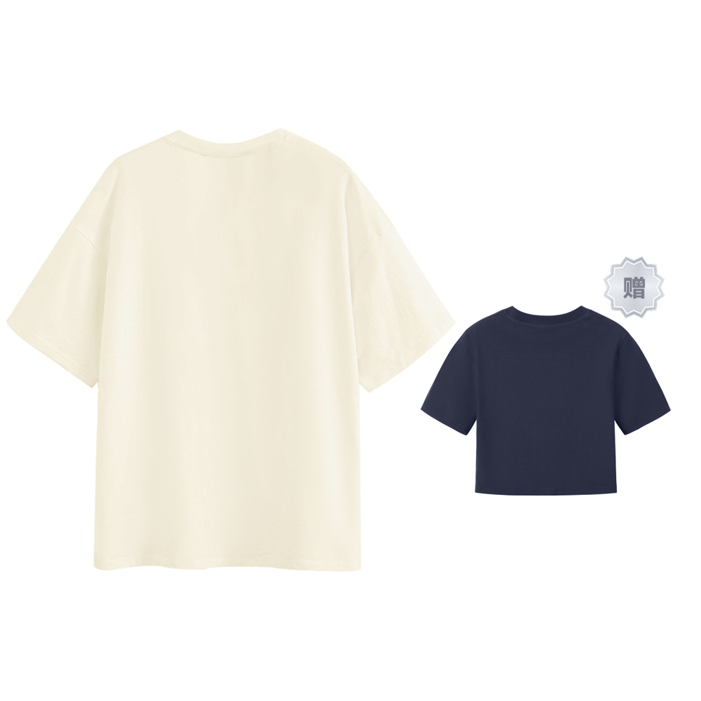 ICONS Lab SS23 ics T