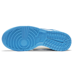 Nike Dunk "Coast"
