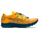 Asics Fujispeed