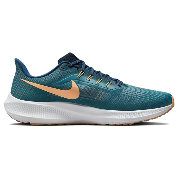 Nike Air Zoom Pegasus 39