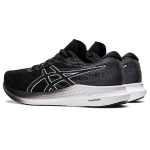 Asics 2E