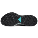 Nike Pegasus Trail 2