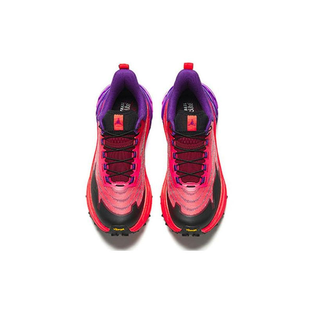 Anta