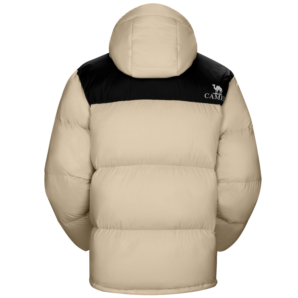 CAMEL 【 】