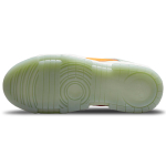 Nike Dunk Disrupt