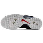 Nike zoom soldier 10 LeBron USA