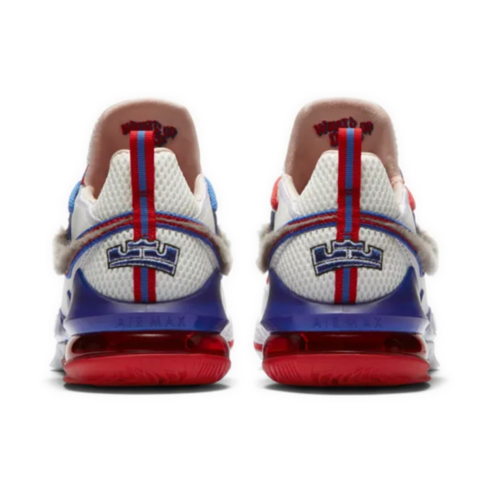 Nike Lebron 17