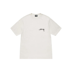 Stussy Arachnid Tee Pigment Dyed T