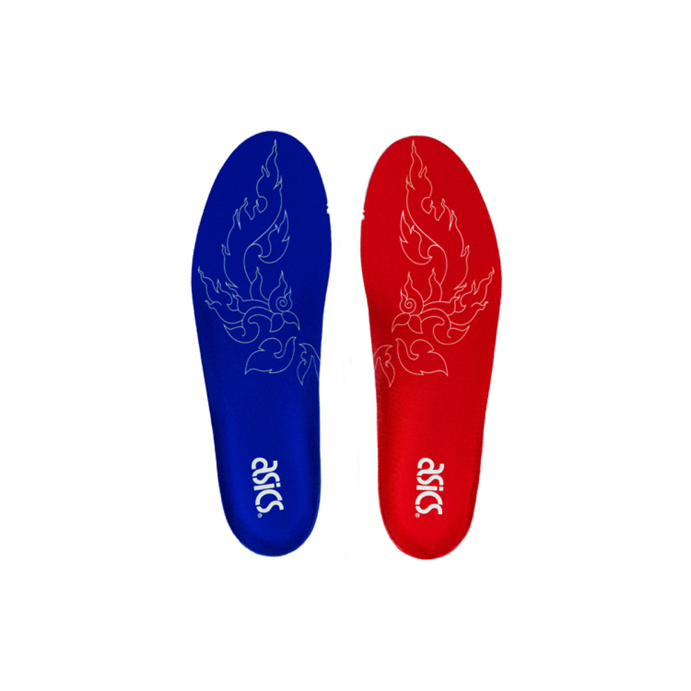 Carnival x Asics Gel-DS Trainer OG GEL® DUOSOLE®