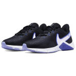 Nike Legend Essential 2
