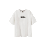 ICONS Lab T