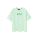 ICONS Lab T
