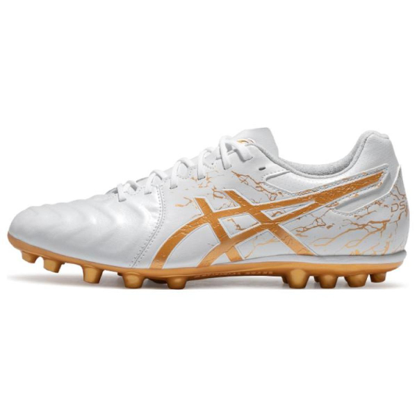 Asics DS LIGHT AG（ ）