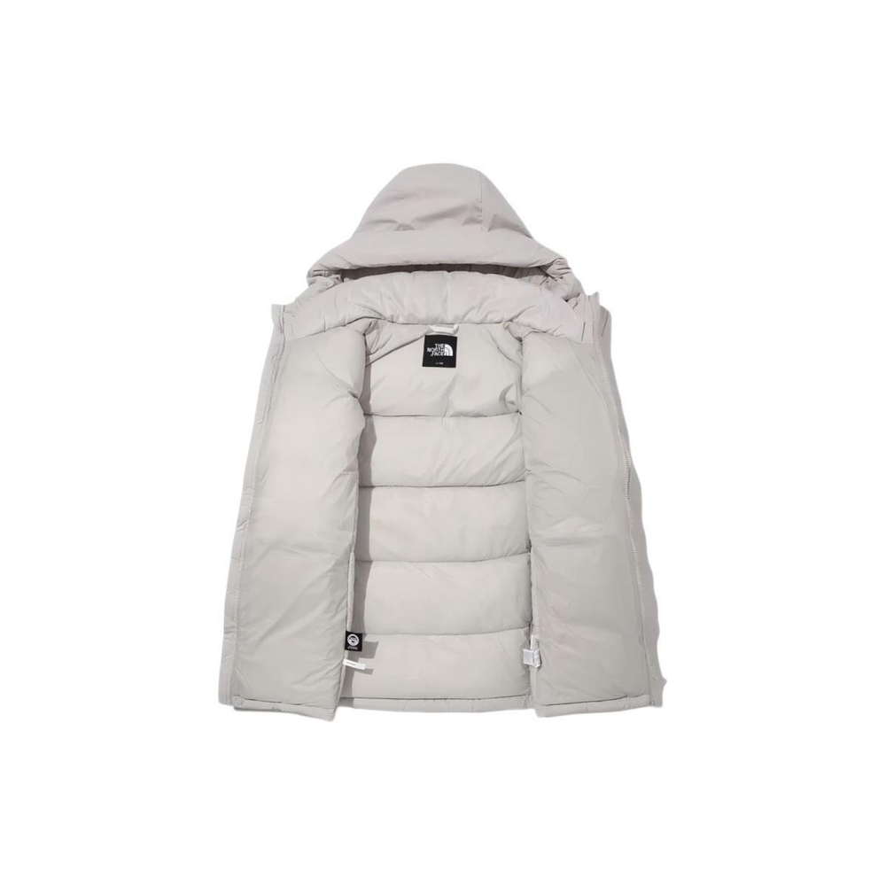 THE NORTH FACE FW23 Logo