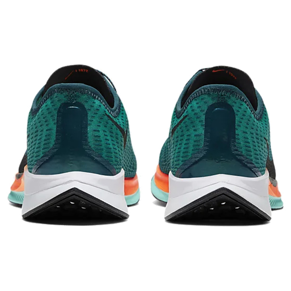 Nike Pegasus turbo 2