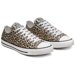 Converse Chuck Taylor All Star Archive Print