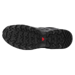 SALOMON X Ultra Pioneer GTX / /