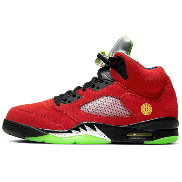 Jordan Air Jordan 5 retro se "what the"