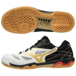 Mizuno Fang