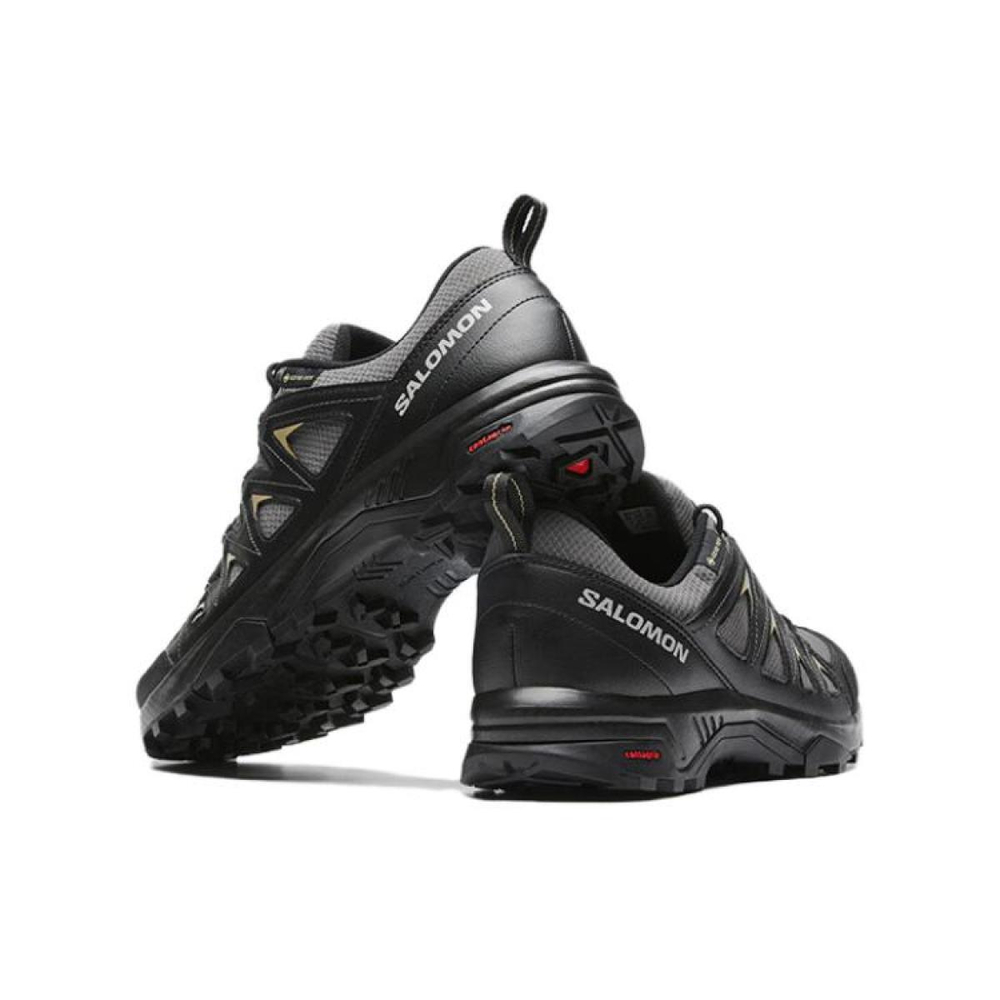 SALOMON X Braze GTX