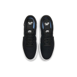 Nike SB Chron 2 CNVS
