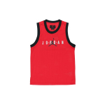 Air Jordan Jumpman Sport DNA