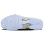 Jordan Air Jordan 29 Pantone