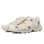 【 】 SALOMON XT-6