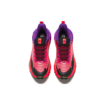 Anta
