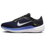 Nike Air Winflo 10