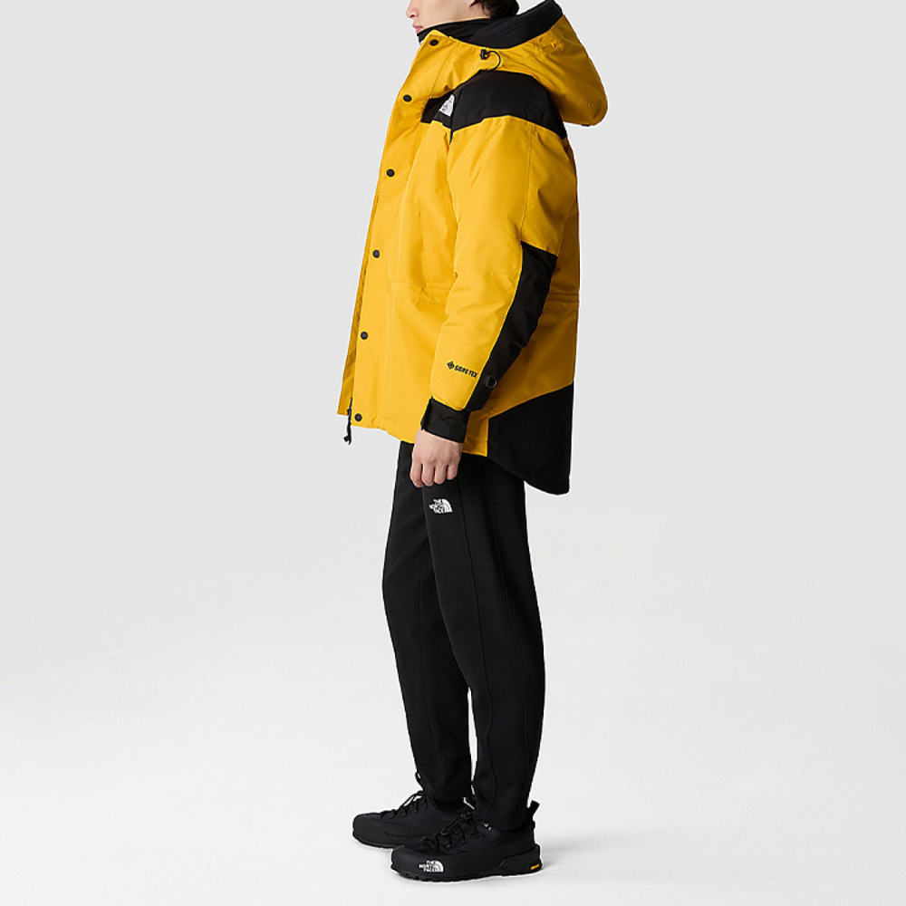 /THE NORTH FACE GTX mountain jacket