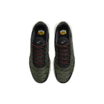Nike Air Max Plus