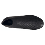 Adidas Predator Accuracy+ FG（ ）