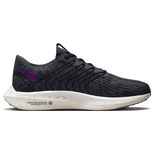 Nike Pegasus Turbo Next Nature