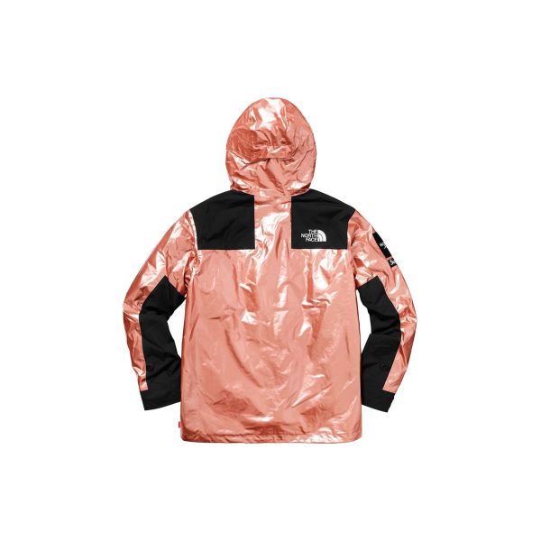 Supreme TNF TNF Metallic Parka