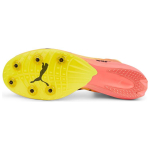 PUMA evoSPEED Distance Ni tro Elite