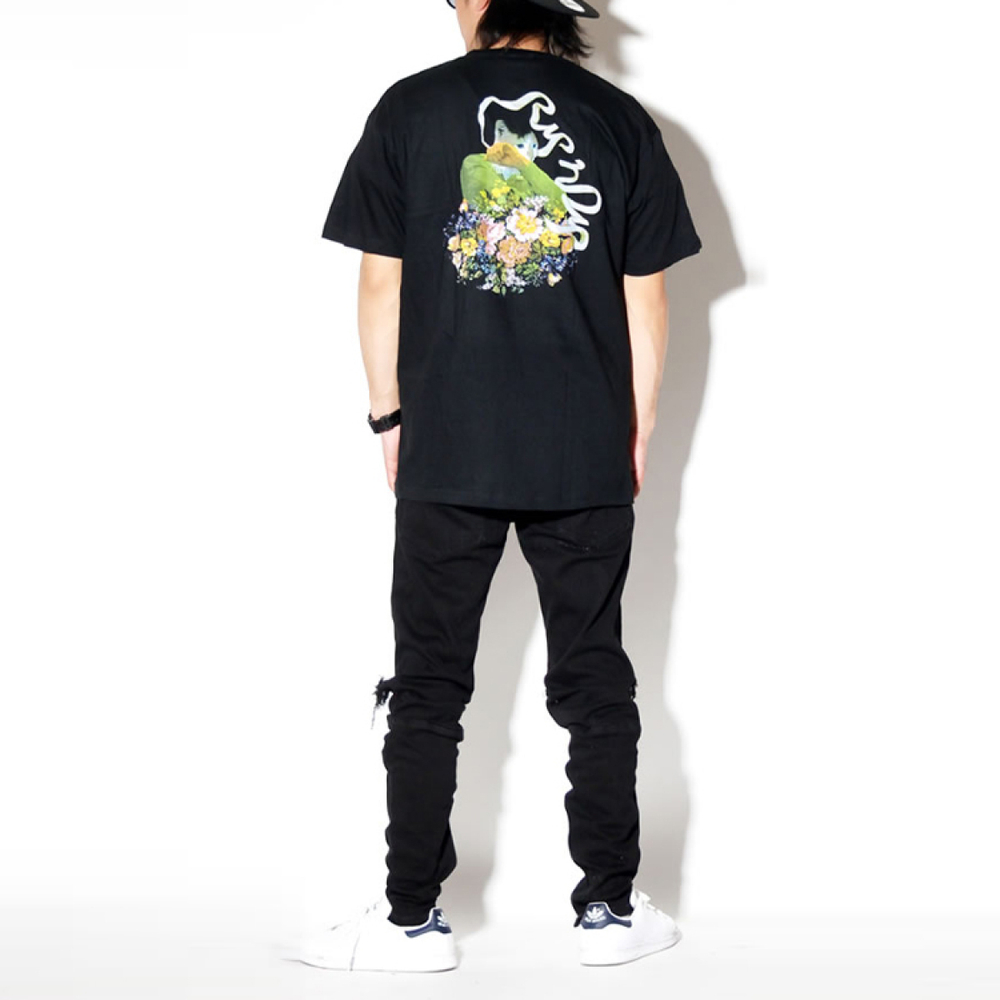 RIPNDIP T