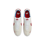 Nike BRSB