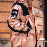 Supreme TNF TNF Metallic Parka