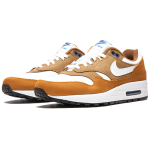 Nike Air Max 1