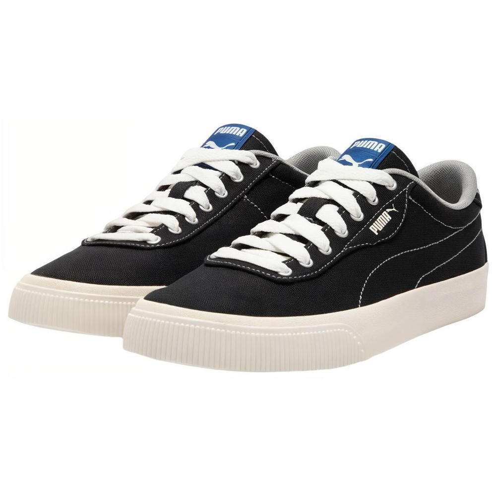 PUMA IV-60