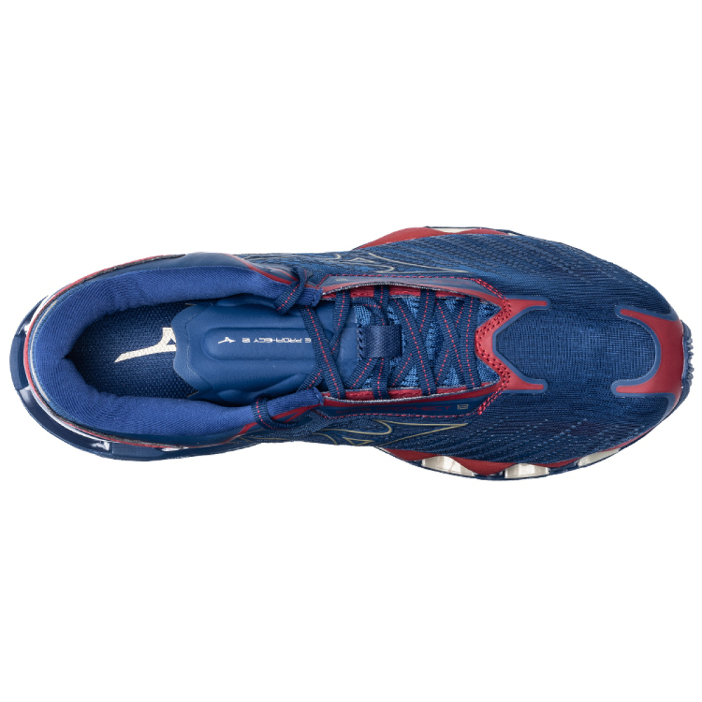 Mizuno Pro 12