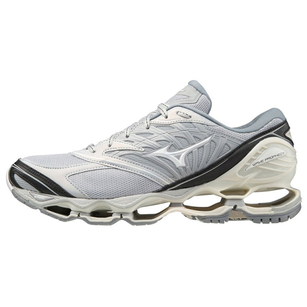 Mizuno Pro