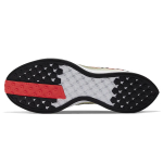 Nike Pegasus turbo 2