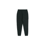 Nike As W Nsw Essential Pant Reg Flc